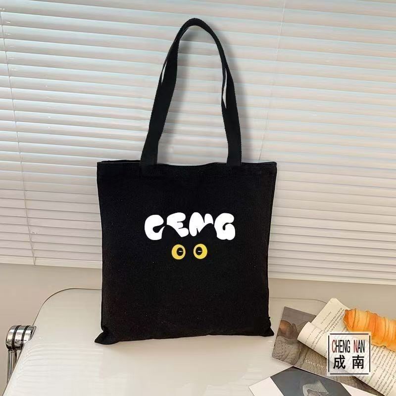 Canvas bag for class, commutin - The Korean Lifestyle Book review and price