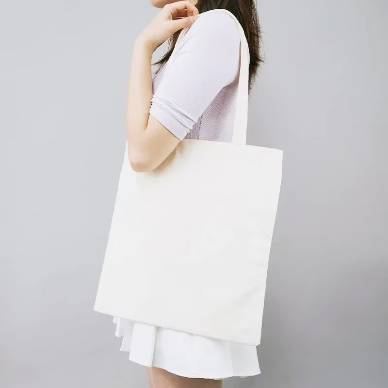 Canvas bag for class, commutin - The Korean Lifestyle Book review and price
