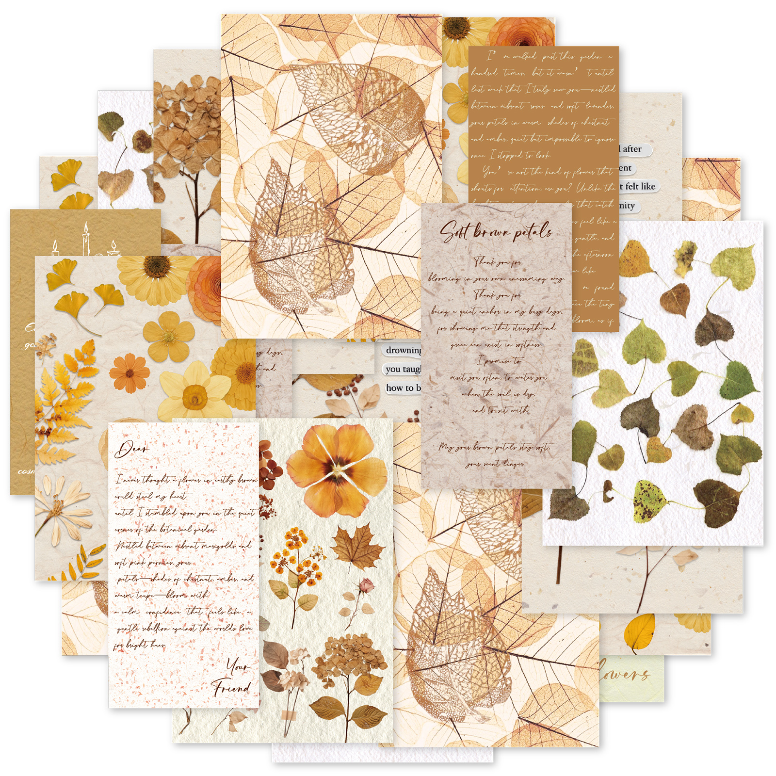 Etori Life 20Pcs Vintage Autum - The Korean Lifestyle Book review and price